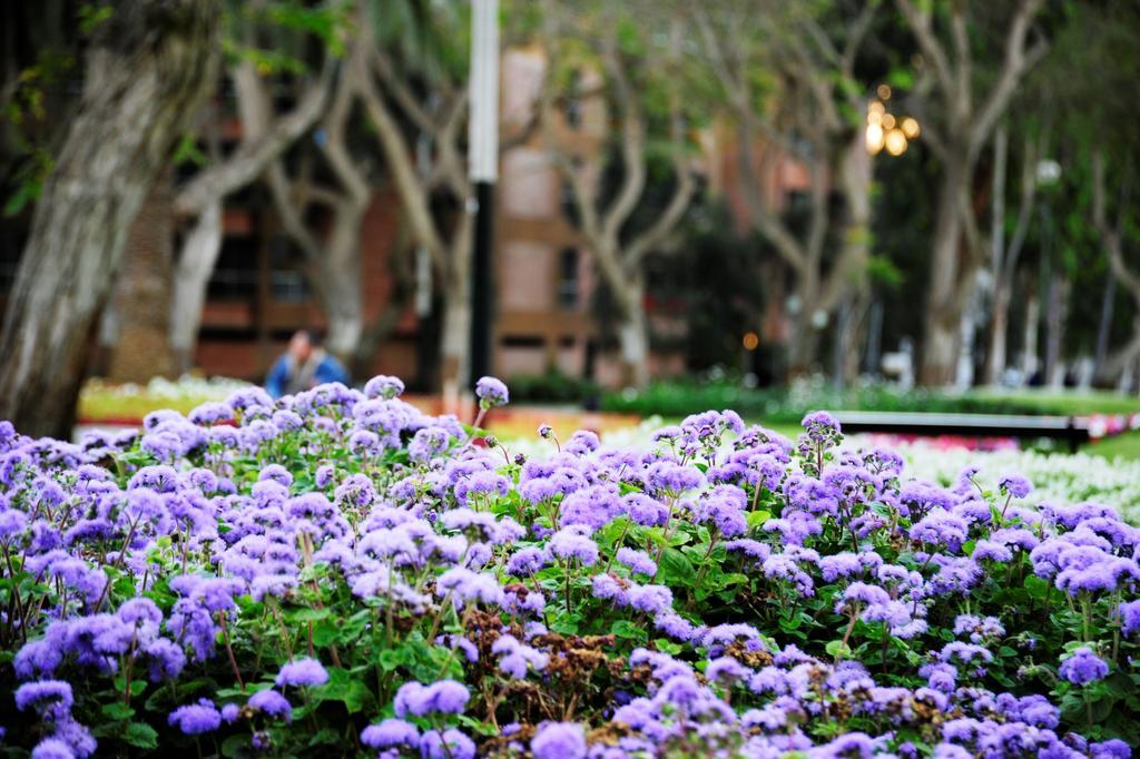Roosevelt Hotel & Suites Lima Exterior foto